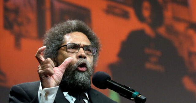 Democrats Concerned by Cornel West Bid: 'Not the Time to Experiment'