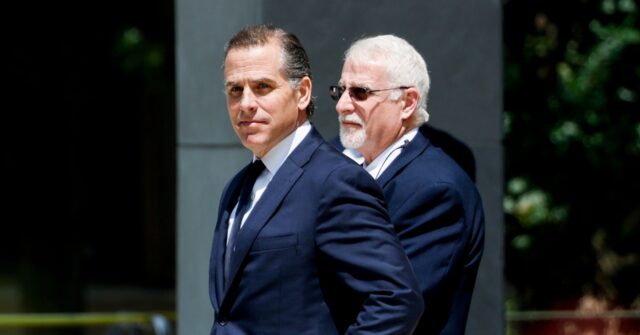 Hunter Admits to Judge He Made China Cash, Contradicting Joe Biden