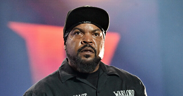Ice Cube Torches Artificial Intelligence: 'It’s the Worst Sh*t Ever'
