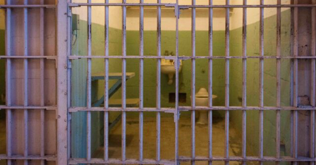 Julie Kelly: Trump Could Be Held Without Trial in DC, Like Other Jan. 6 Defendants
