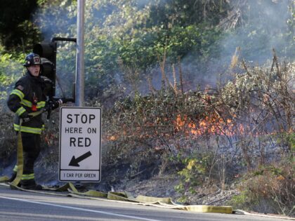Firefighters work to put out a brush fire Sunday, Aug. 2, 2020, near Federal Way, Wash., south of Seattle. Hot weather in the Pacific Northwest has contributed to dry conditions, and Sunday's fire burned in three nearby locations along northbound Interstate Highway 5, but was quickly put out. (AP Photo/Ted …