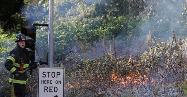 VIDEO: Crews Battle 'Raging Inferno' Brush Fire Along Seattle Interstate