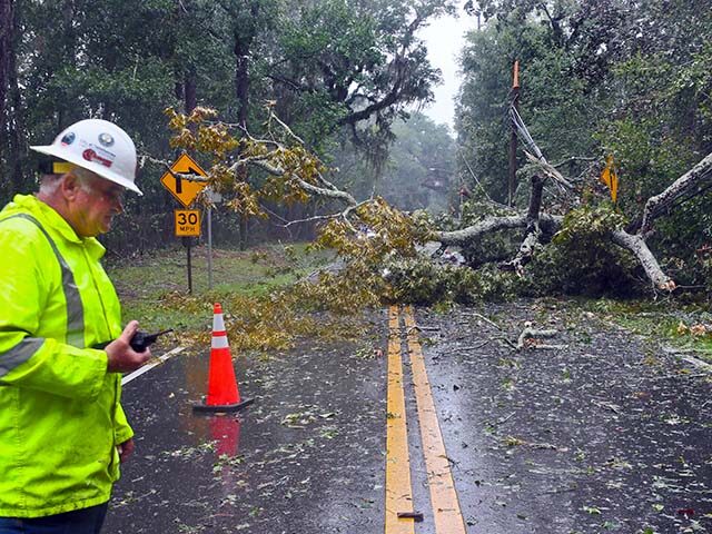 A City of Tallahassee electrical worker assesses damage to power lines after a tree fell o