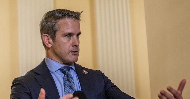 NextImg:Kinzinger: Democrats Are Now 'the Pro-Military Party'