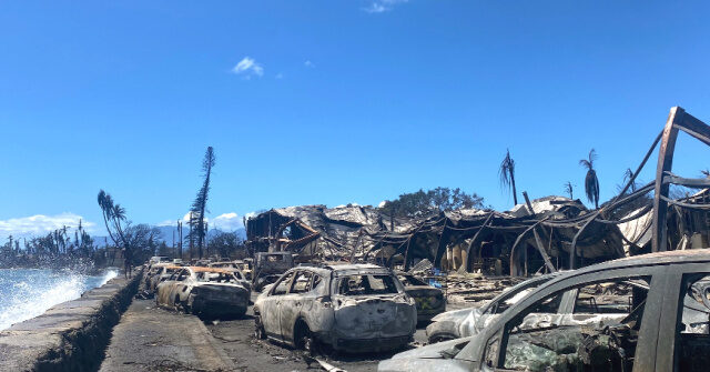 VIDEO: Woman Reunites with Hero Who Saved Her from Maui Wildfires