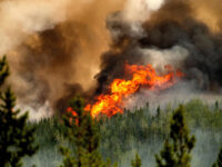 Out-of-Control Wildfires Return to Canada, Forcing Evacuations