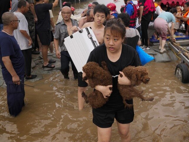 A woman carries her pet dogs as residents are evacuated on rubber boats through floodwater