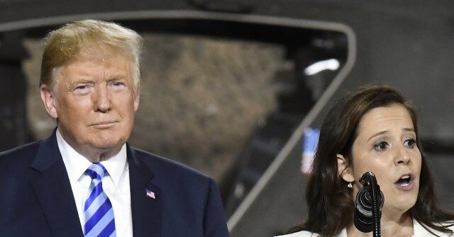 Exclusive – Elise Stefanik: Polling Shows GOP Must Unite Behind Trump 