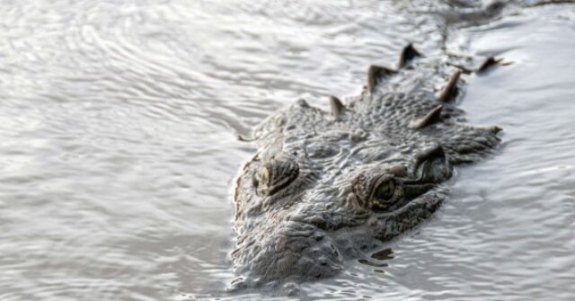 Costa Rican Soccer Player Killed by Crocodile After Jumping into River