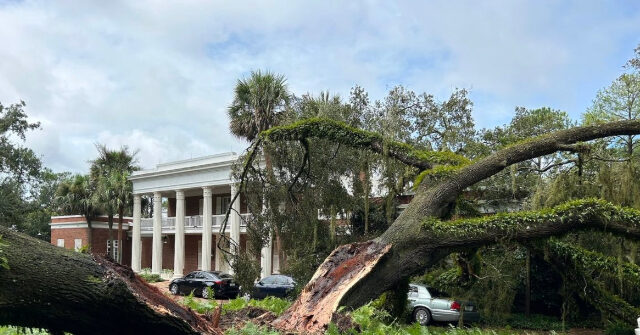 100-Year-Old Tree Falls on Governor's Mansion in Tallahassee, Florida