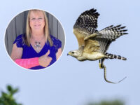‘Help Me, Jesus!’ Texas Woman Survives Attack by Snake and the Hawk that Dropped It from the Sky