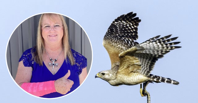 'Help Me, Jesus!' Texas Woman Survives Attack by Snake and the Hawk that Dropped It from the Sky