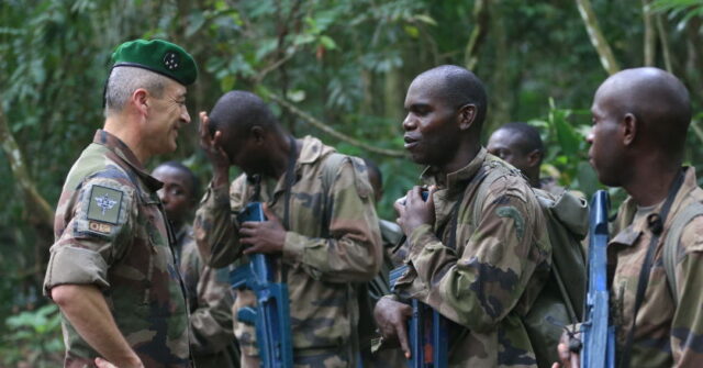 Europe Asks if Training Armies to Fight al-Qaida is Linked to African Coups