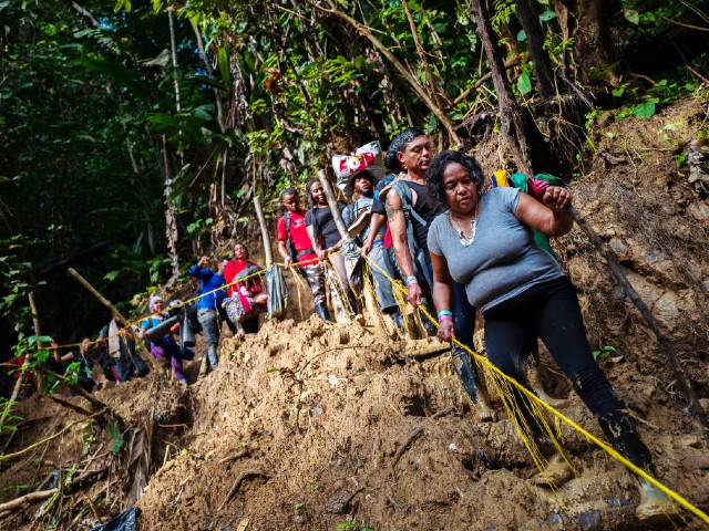 DARIEN GAP, COLOMBIA - NOVEMBER 20: Haitian migrants climb down a muddy hillside trail in the wild and dangerous jungle on November 20, 2022 in Darién Gap, Colombia. Tens of thousands of migrants from around the world make their journey to the Southern U.S border through South America every year, crossing the Darién Gap, an inhospitable rainforest region. They walk for several days in harsh climatic conditions, risking their lives and facing dangers of poisonous animals and drug traffickers. They seek the American Dream. (Photo by Jan Sochor/Getty Images)
