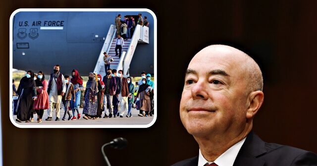Mayorkas Hails Biden's Afghan Resettlement Plagued by Vetting Failures
