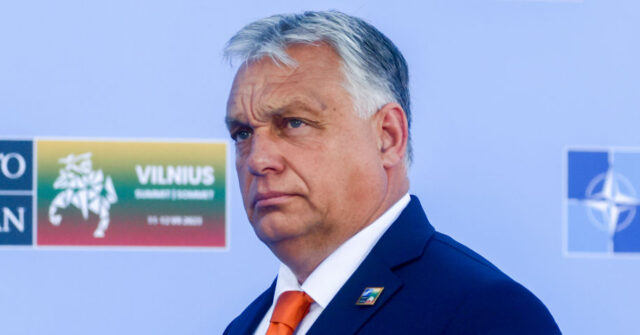 Hungary to Build Combat Drones in Cooperation With Israel and Germany