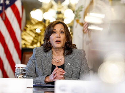 U.S. Vice President Kamala Harris speaks during a meeting on Artificial Intelligence in her ceremonial office in the Eisenhower Executive Office Building on July 12, 2023 in Washington, DC. Harris hosted the meeting to discuss AI with civil rights leaders and consumer protection experts. (Photo by Anna Moneymaker/Getty Images)