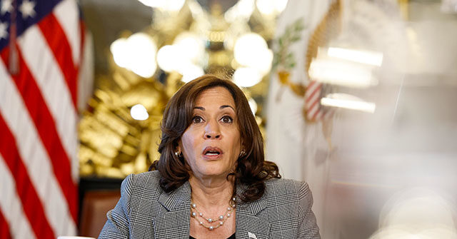 Kamala Harris Pushes Gun Control That Wouldn't Have Prevented Jacksonville Shooting