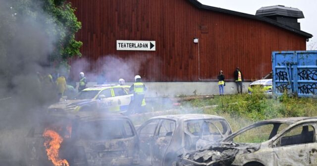 Imported Violence: Eritrean Disputes Causing Chaos in Germany, Sweden