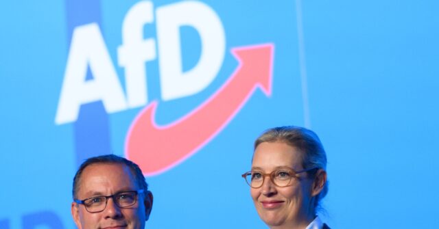 The EU Is a 'Failed Project' Declares German Populist AfD Party