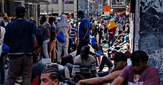 NYC's Most Elite, Liberal Neighborhoods to Host Migrant Camps After Voting Up to 100% for Biden