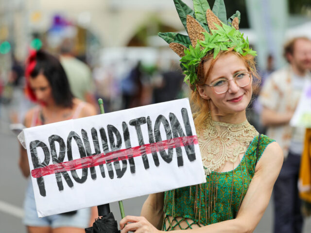 BERLIN, GERMANY - AUGUST 12: A costumed cannabis supporter holds a banner against prohibit