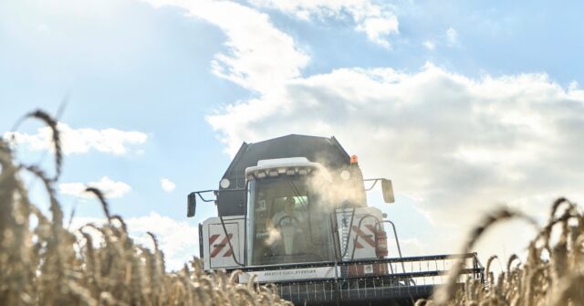 Romania and Ukraine Sign Accord to Boost Kyiv's Grain Exports