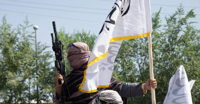 Chinese Envoy to Afghanistan Applauds Taliban for 'Improving' Country