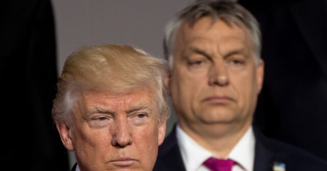 Only Trump Can End Ukraine War, Hungarian PM Orbán Tells Tucker