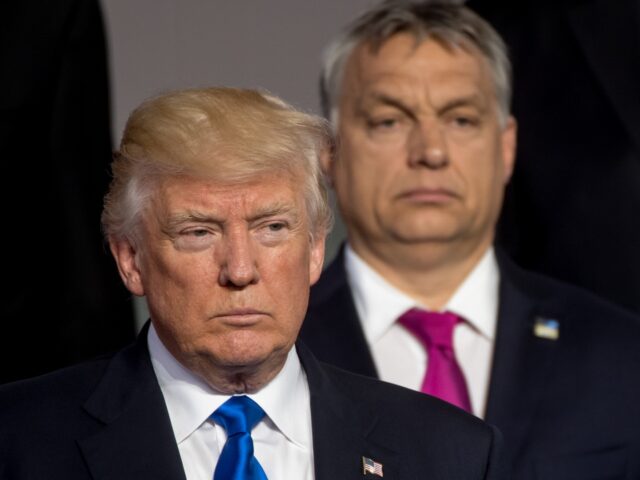 (L-R)US President Donald Trump and Prime Minister of of Hungary Viktor Orban stand during a family picture during the NATO (North Atlantic Treaty Organization) summit at the NATO headquarters, in Brussels, on May 25, 2017. / AFP PHOTO / POOL / Danny GYS (Photo credit should read DANNY GYS/AFP via …