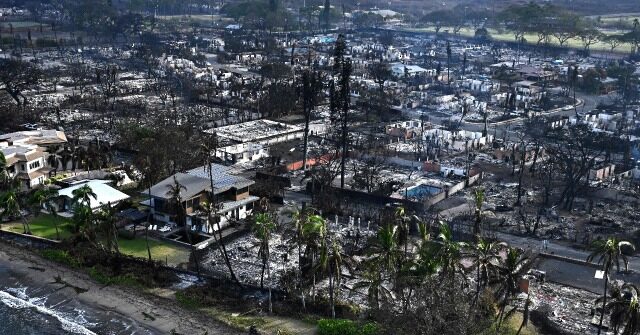FEMA: 'We Still Expect Several More Days' to Finish Maui Search