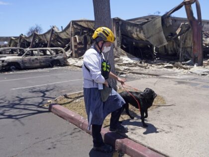 A member of a search and rescue team walks with her cadaver dog near Front Street on Satur