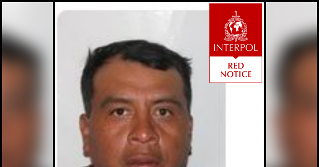 Illegal Alien Wanted for Rape Captured in Sanctuary State New York