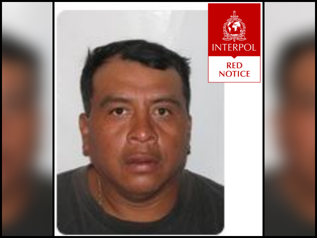 Illegal Alien Wanted for Rape Captured in Sanctuary State New York - Vimarsana News