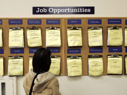 OAKLAND, CA - FEBRUARY 02: A job seeker looks at a job listing board at the East Bay Caree