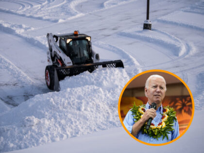 Joe Biden Blunders Like Snowy Winter in Minnesota 2