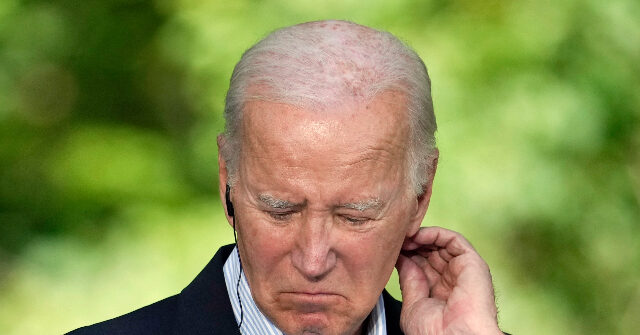 Economist: Polling GOP on Economy 'Pointless' — Dislike of Biden Slants Answers