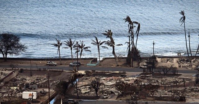 Lahaina Wildfire Victim: 'If You Stopped, You Were Dead'