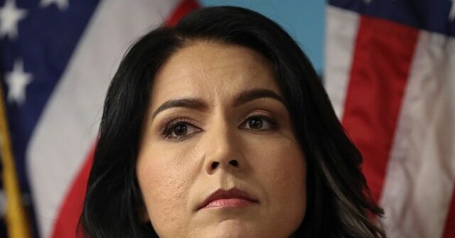Gabbard Blasts ‘Disqualified’ DOJ’s Trump Indictment to ‘Protect’ Dem Elite