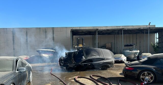 Tesla Spontaneously Ignites in Sacramento, Firefighters Call Out Elon Musk on His Own Platform