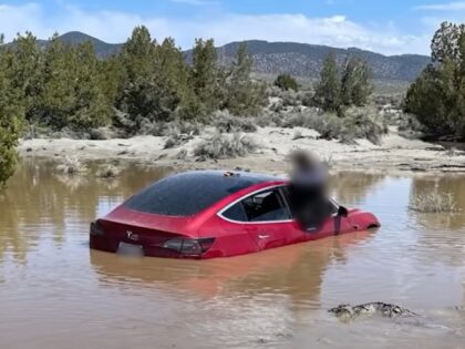 Tesla in California floodwaters