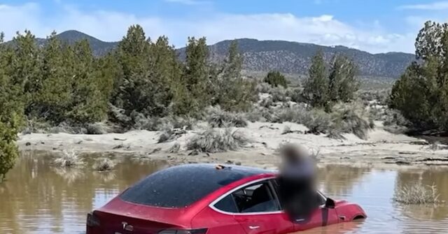 Submarine Mode?: 'Full Self-Driving' Software Guides Tesla into California Floodwater Pond