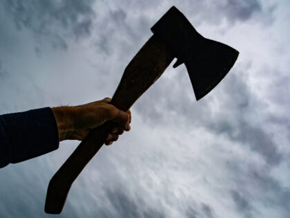 silhouette of a raised ax in hand against a gloomy sky