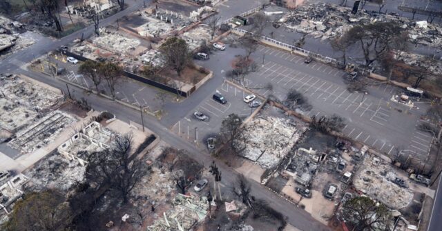 Hawaii Wildfires Death Toll Stands at 53, Expected to Rise