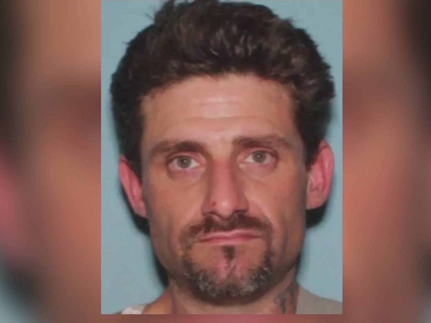 Sex Offender Targets Woman Home Alone, Gets Shot Dead - Vimarsana News