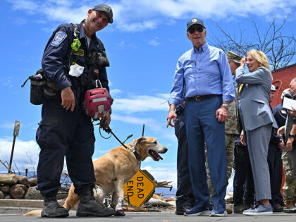US President Joe Biden (C) greets a dog wearing protective boots as he meets with first re