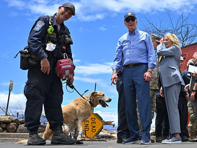 US President Joe Biden (C) greets a dog wearing protective boots as he meets with first responders during an operational briefing on response and recovery efforts following wildfires in Lahaina, Hawaii on August 21, 2023. The Bidens are expected to meet with first responders, survivors, and local officials following deadly …