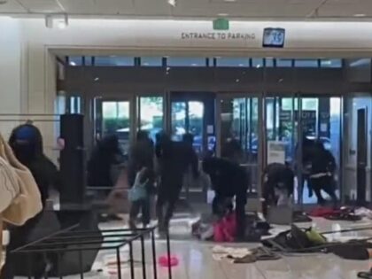 A mob of looters ransacked a Nordstrom location in the Westfield Topanga mall in the San Fernando Valley on Saturday afternoon, prompting Mayor Karen Bass to condemn the chaos.