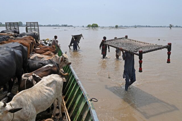 Around 100,000 people have been evacuated due to flooding in Pakistan's Punjab province
