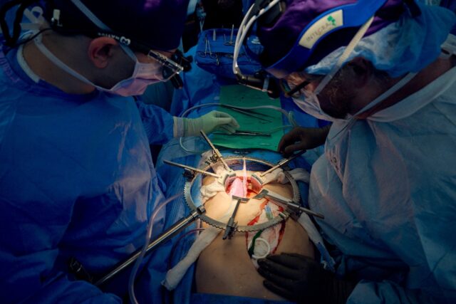 A team of surgeons transplanting a pig kidney into a brain dead patient, part of a growing